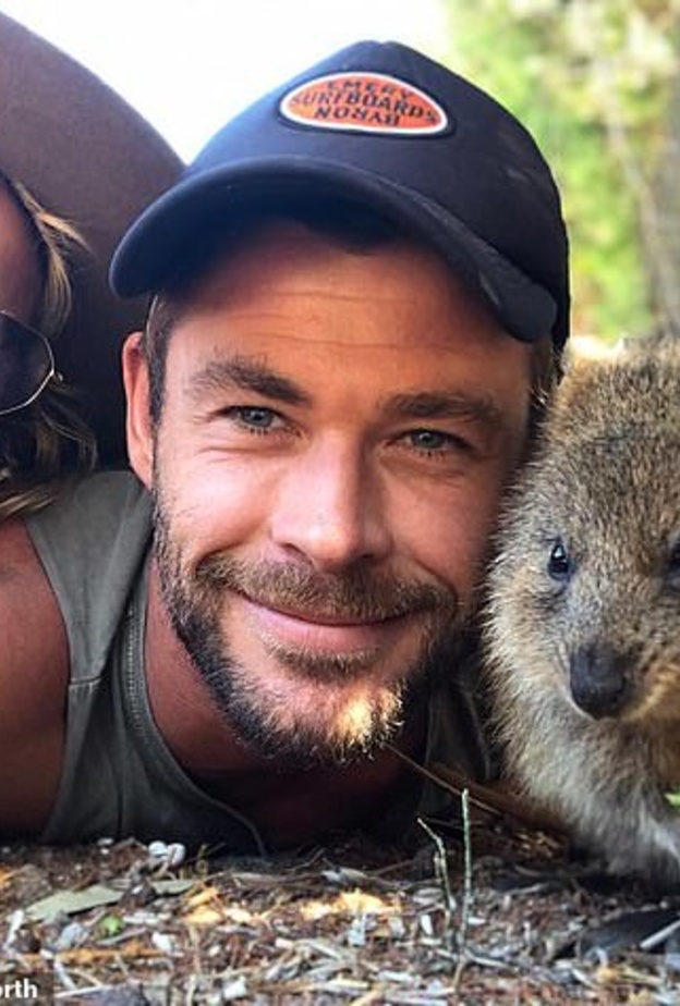 كريس هيمسورث