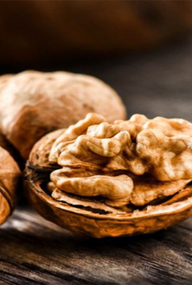 الجوز يعزز صحة الدماغ