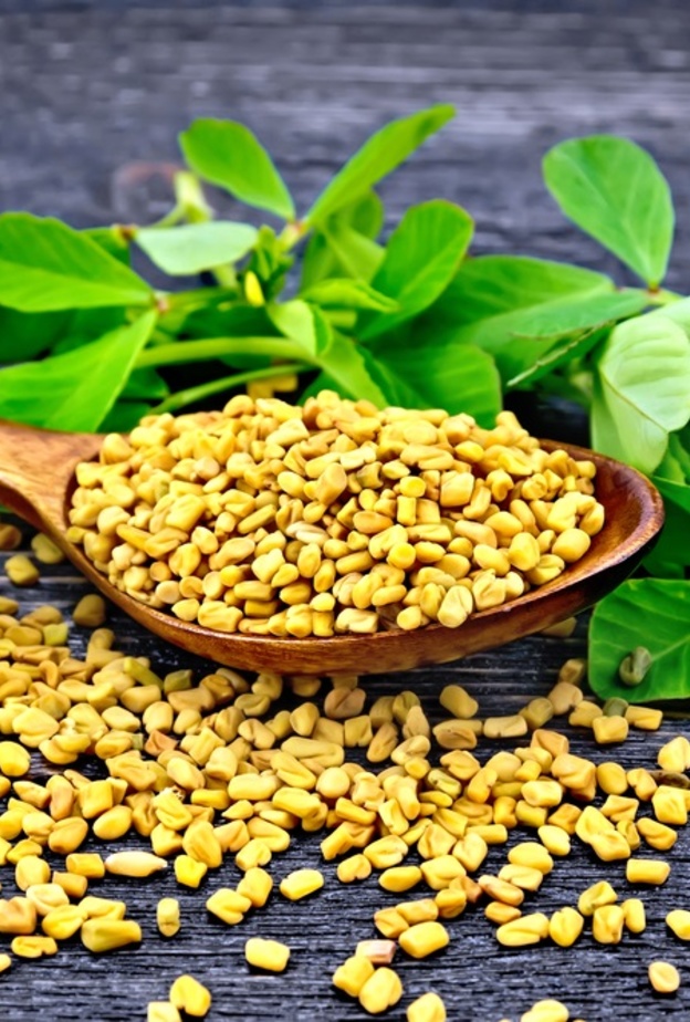 فوائد الحلبة لعلاج الامساك