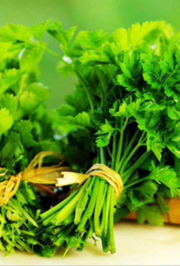 البقدونس مهم لصحة العظام