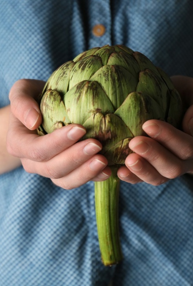 فوائد الخرشوف الصحيه