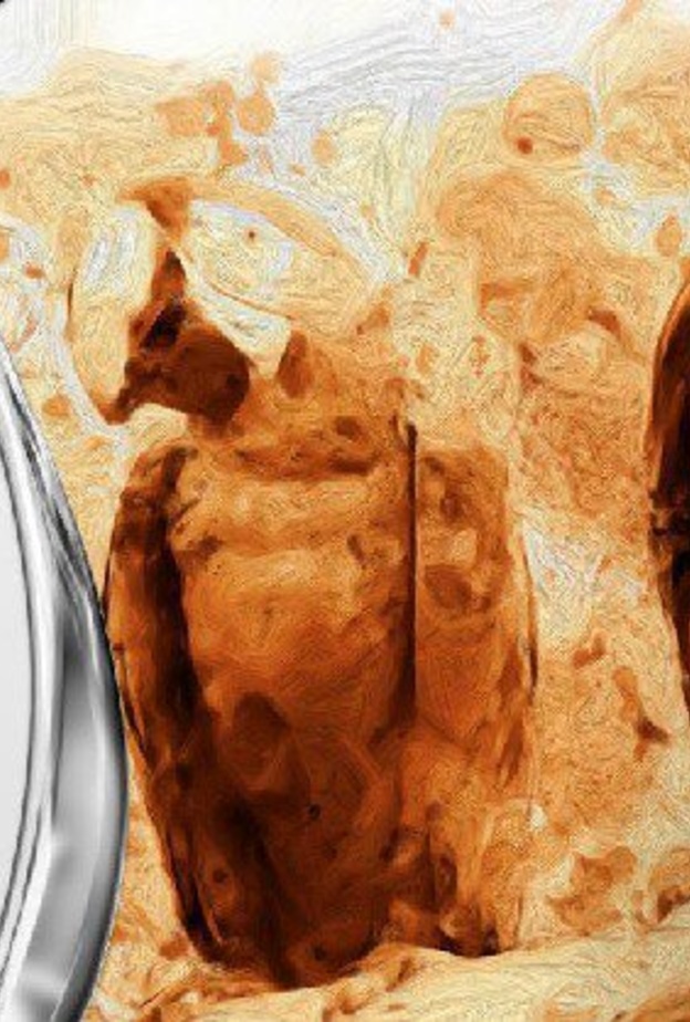 التسجيل في مهرجان نور