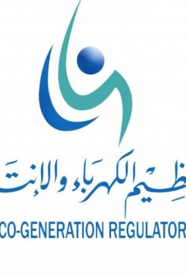 هيئة تنظيم الكهرباء