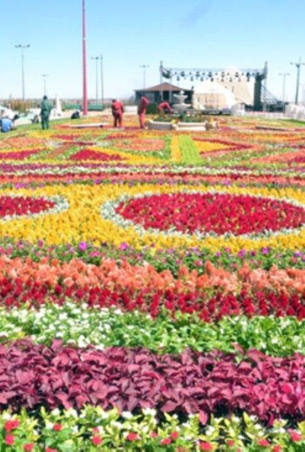 اليوم.. انطلاق مهرجان الورد الطائفي "15" بمنتزه الردف