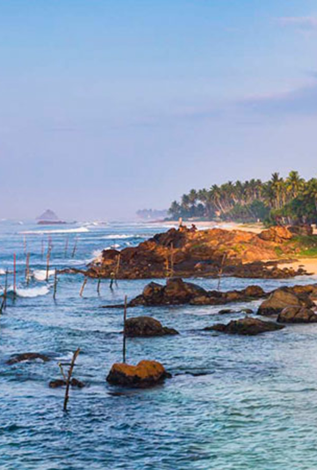 جزء من شاطئ ويليغاما