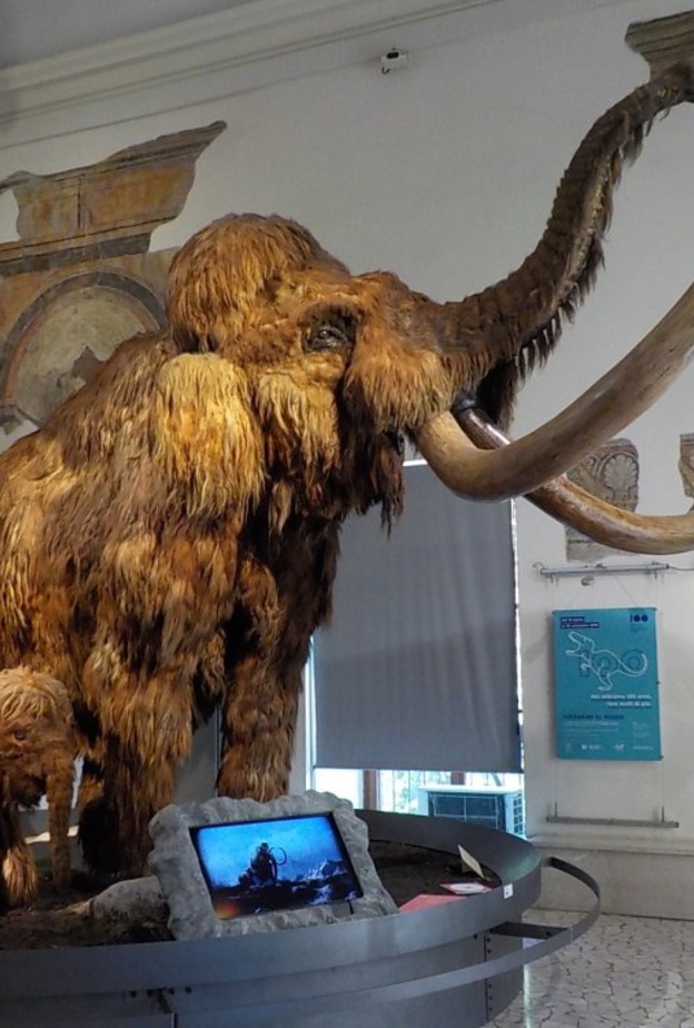 تل ماريسانا Maresana Hill