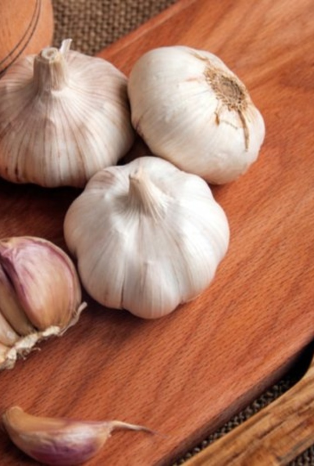 الثوم يعزز مناعة الجسم ضد الأمراض