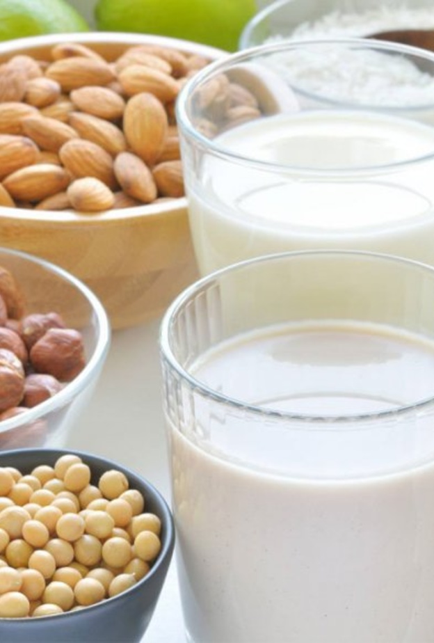 ما هي بدائل الحليب خلال فترة الحمل