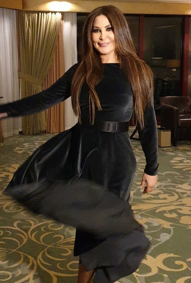 إليسا بفستان جميل في حفل جدّة