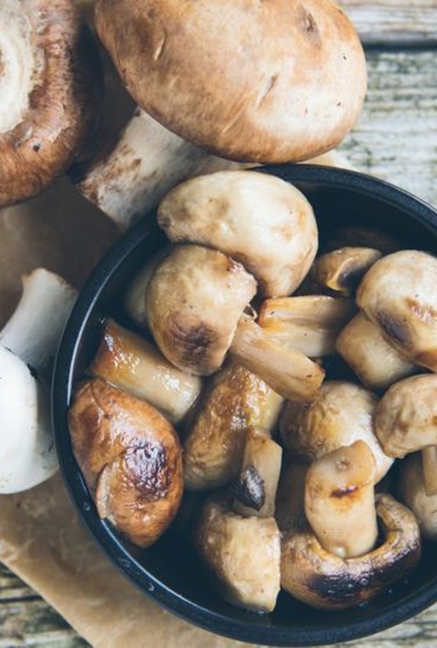 الفطر يعزز القدرات المعرفية