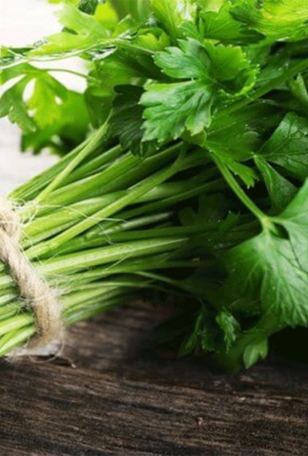  البقدونس مهم لصحة مرضى السكري