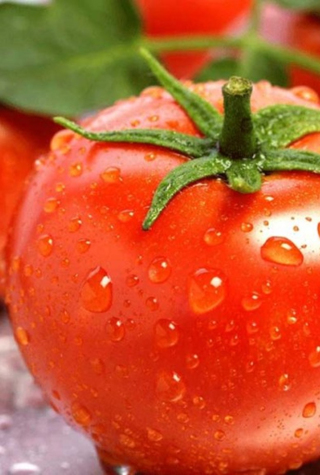 الطماطم تقي من تجلط الدم