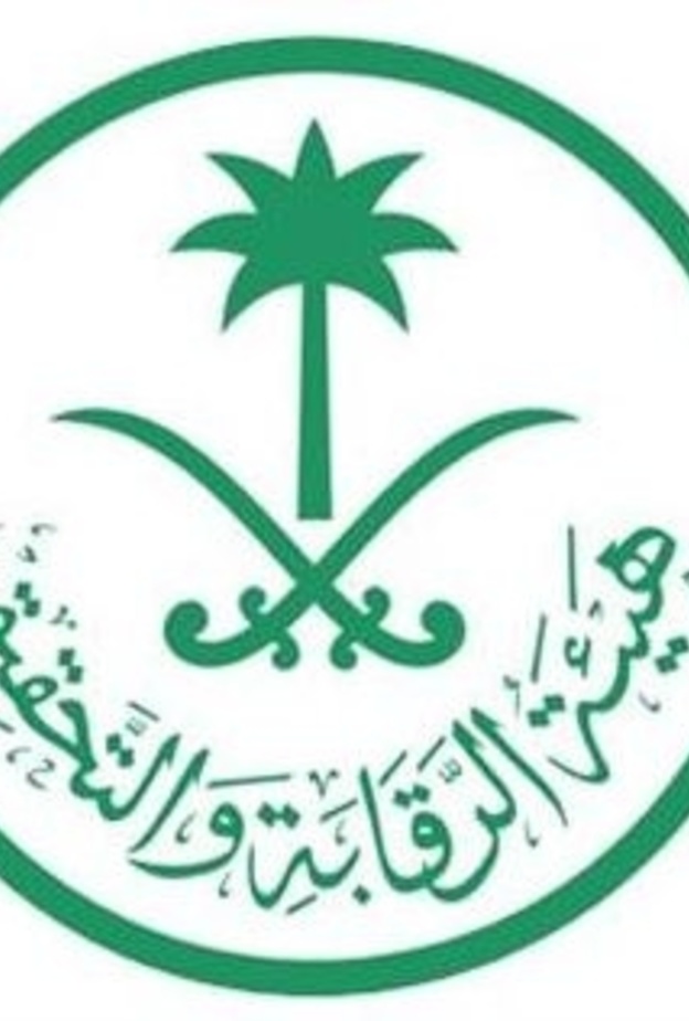 هيئة الرقابة والتخطيط