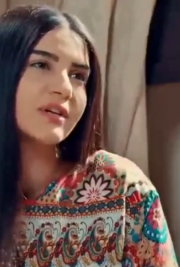 مسلسل حدود الشر