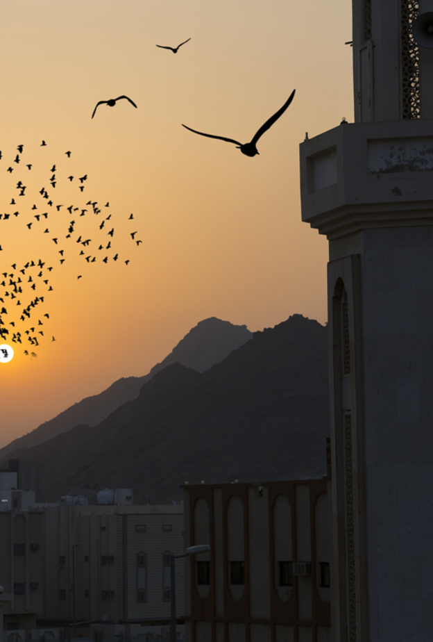 موعد اذان الفجر في السعودية رمضان 2019 بتوقيت الرياض اليوم السابع عشر