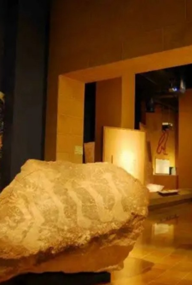 المتحف الوطني يحتفل باليوم العالمي للمتاحف بفعاليات متنوعة