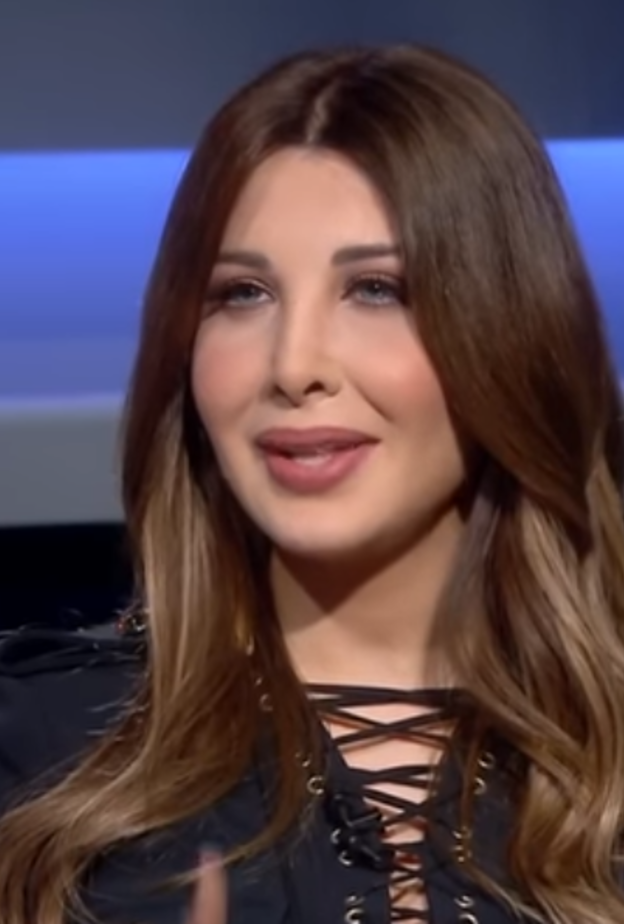 نانسي عجرم في برنامج "مجموعة إنسان"