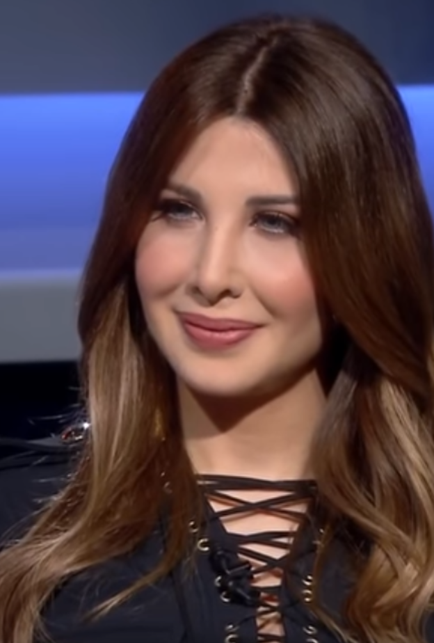 نانسي عجرم في برنامج "مجموعة إنسان"