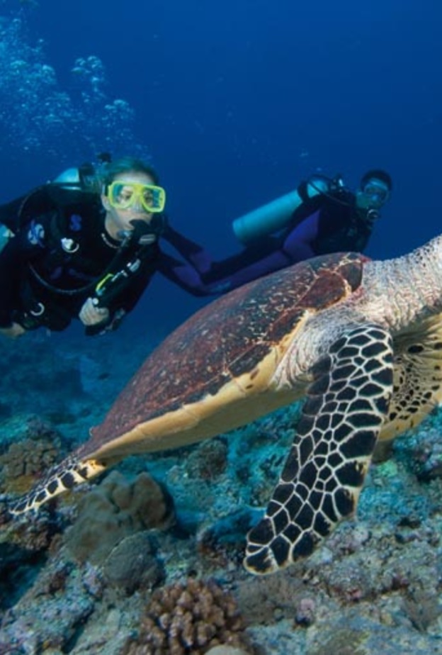 اجمل الجزر في العالم لقضاء شهر العسل - سانت لوسيا