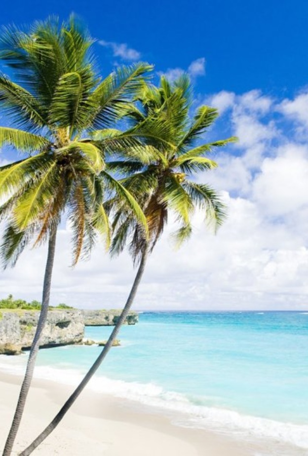  باربادوس وجهة شهر العسل المختارة للاميرة آن بصحبة عريسها مارك فيليبس