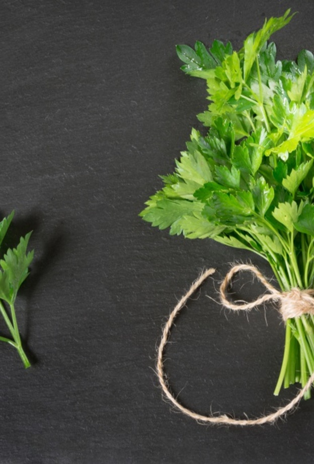 فوائد البقدونس لصحة القلب