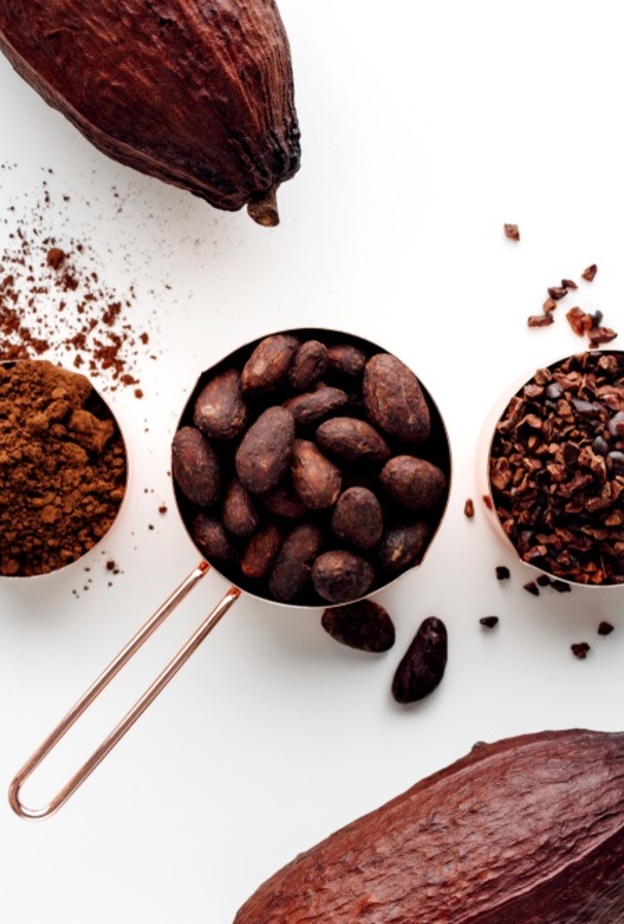 فوائد الكاكاو لمرضي الفشل الكلوي