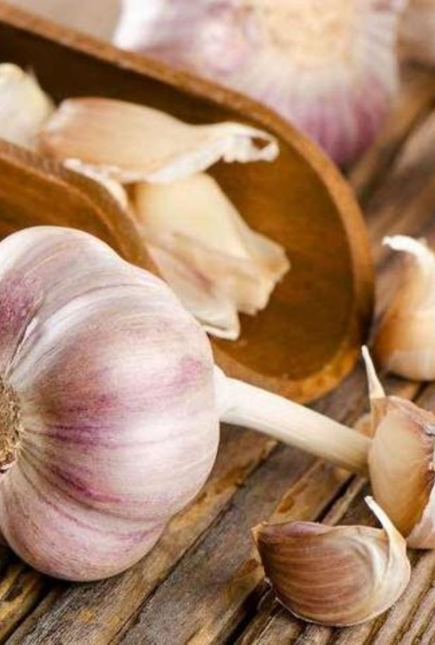 الثوم يقي من التهابات الكبد