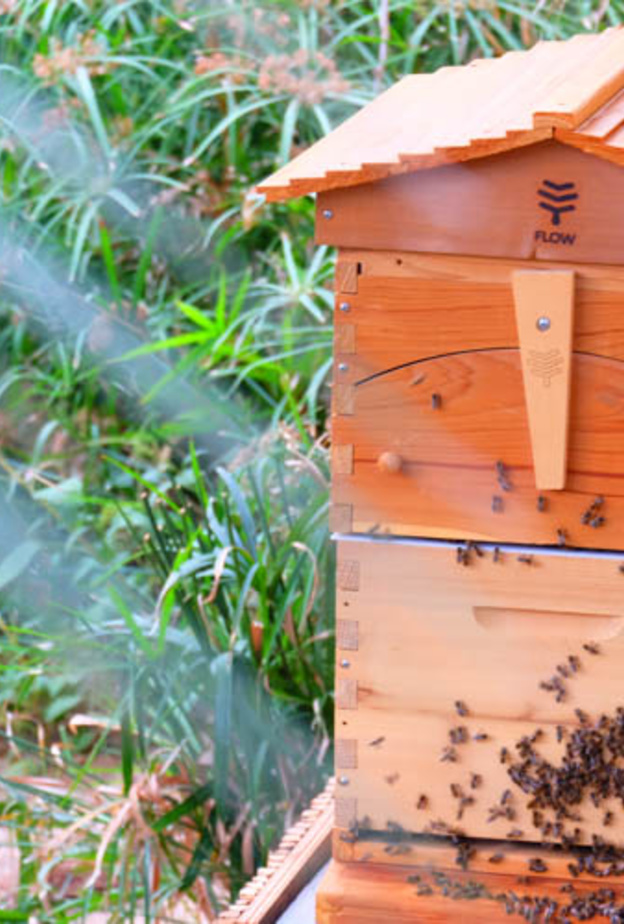 غاليري لافاييت يتعاون مع سيكس سينسز زيغي باي لإطلاق برنامج "الأصابع الخضراء الصغيرة" الصيفي في دبي