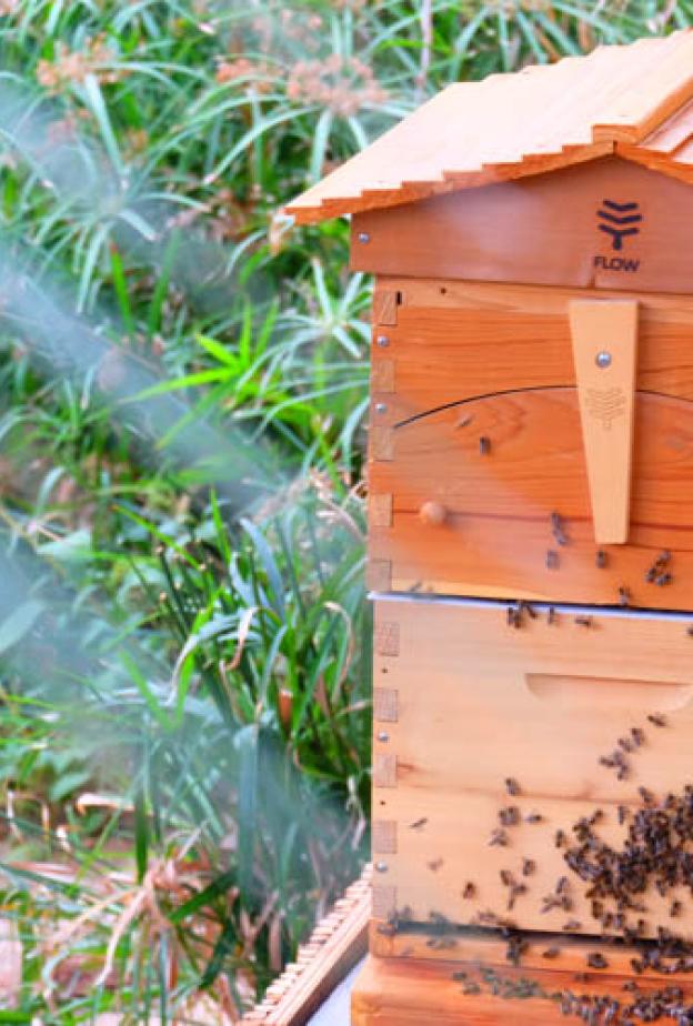 تعاون غاليري لافاييت مع سيكس سينسز لإطلاق برنامج الأصابع الخضراء