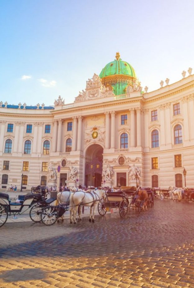 عربات الخيول وسط المدينة 