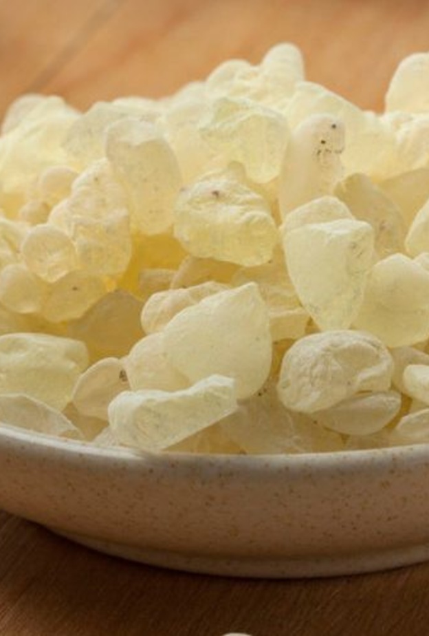 المستكة تساعد على التخلص من رائحة الفم الكريهة