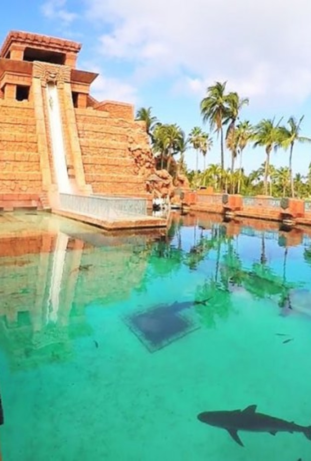 الفنادق السياحية الكبيرة والفخمة، ومن بين أشهرها على الإطلاق فندق Izmailovo Hotel