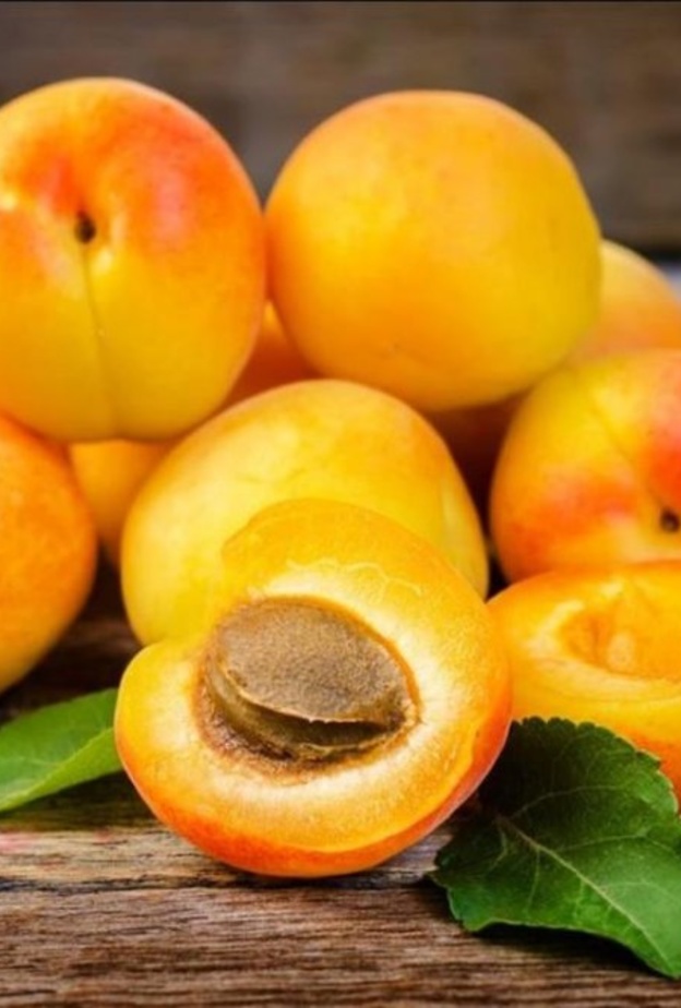 المشمش يحافظ على صحة العيون