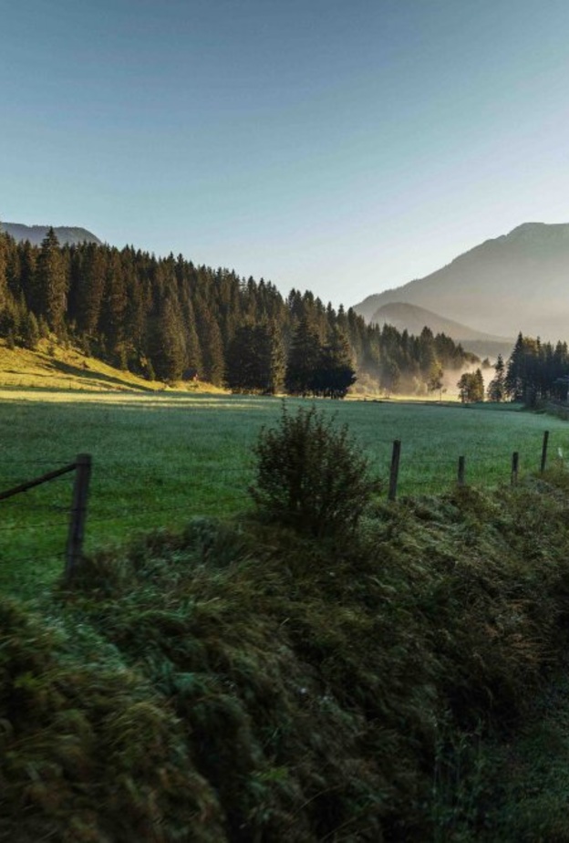 فيينا تفوز بلقب أفضل مدينة للمعيشة للمرة العاشرة