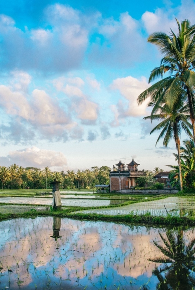 أجمل المعالم الطبيعية التي يمكنك زيارتها في تابانان هي حقول جاتيلويه