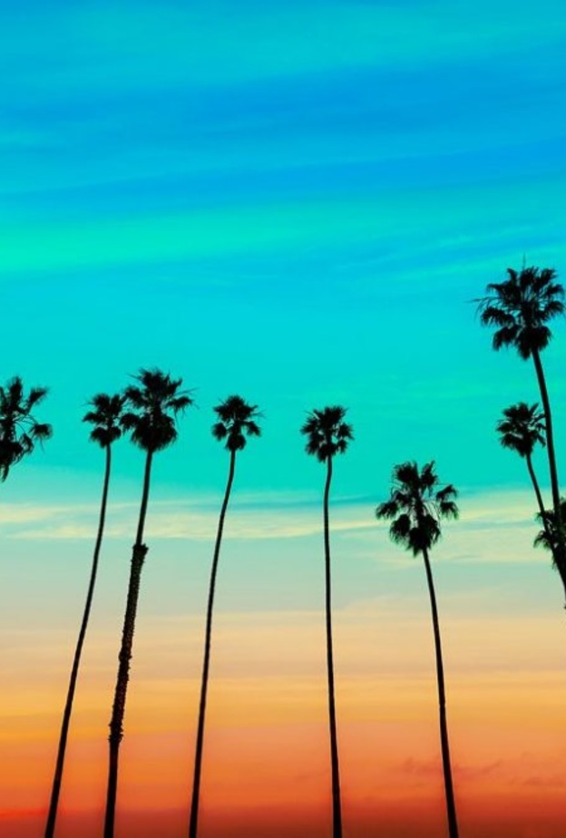 اجازة ممتعة في كاليفورنيا صيفًا