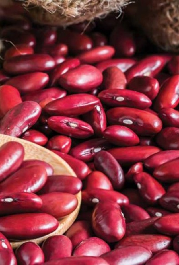 الفاصوليا الحمراء تقي من أمراض السرطان