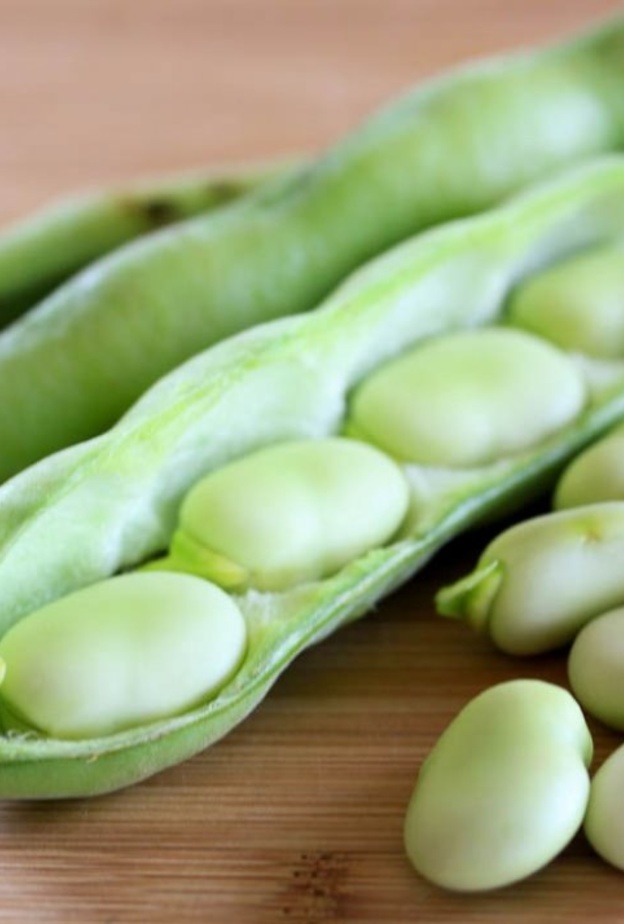 مرض التفول مرض وراثي خطير على الصحة