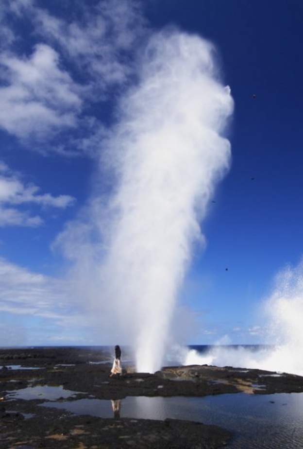 استكشاف محمية بالولو ديب البحرية