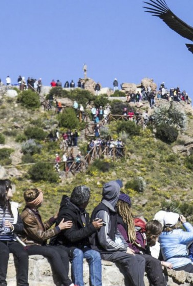 اخدود نهر كولكا لمشاهدة نسور الكوندور و هي تحلق في الاعالي