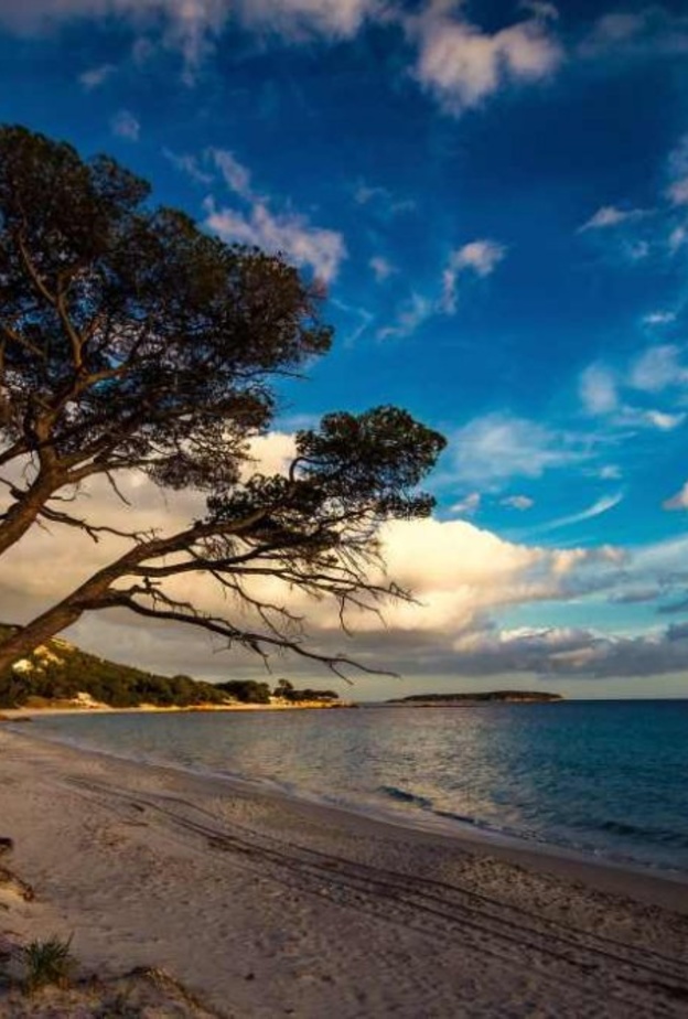 أرخبيل لافيتزي المذهل