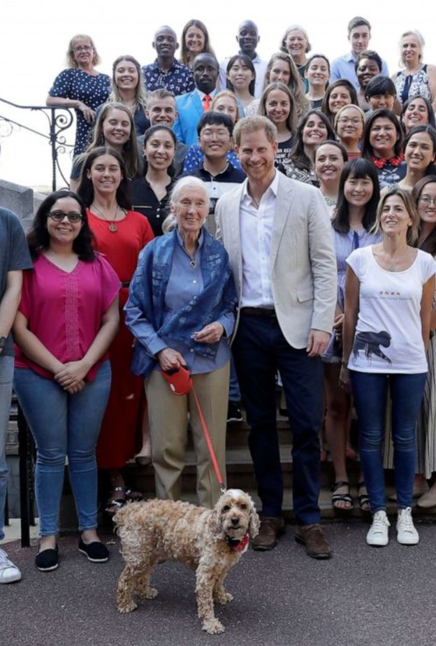 الأمير هاري يقابل د. جاين جودال في قلعة وندسور