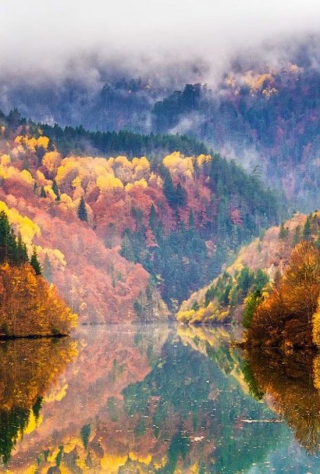  الشاطئ المشمس