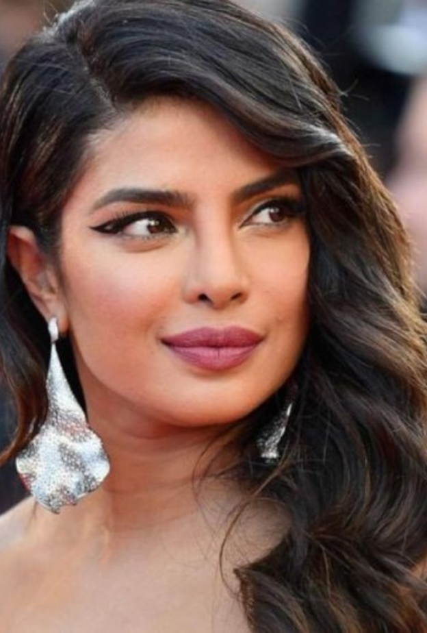  بريانكا تشوبرا Priyanka Chopra سعيدة بالجولة الموسيقية لزوجها