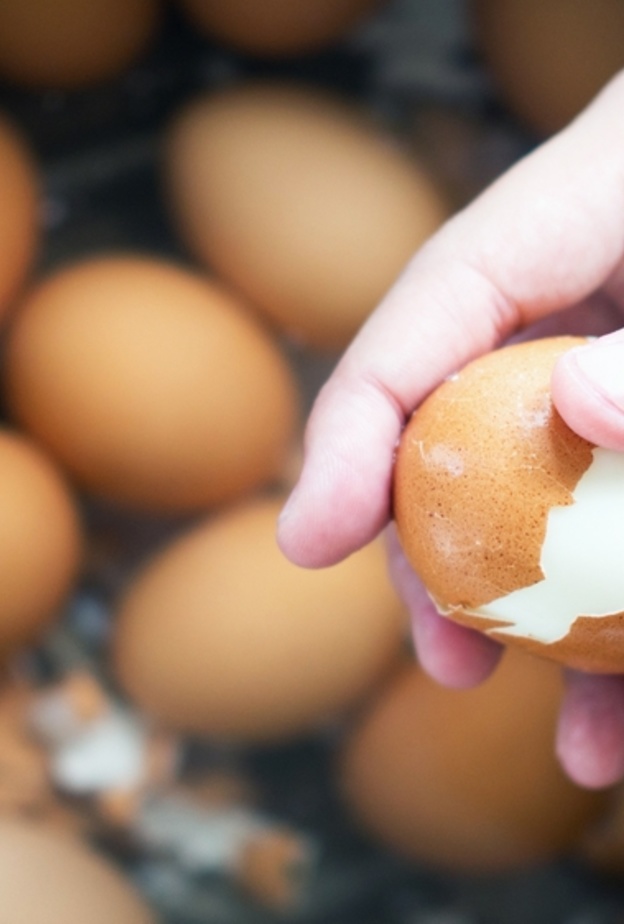  قشر البيض غني بالكالسيوم