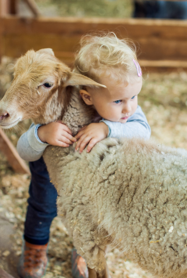 مشاركات إيجابية للأطفال مع الأضحية