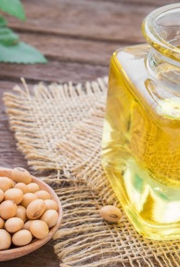 فول الصويا يخفض الكوليسترول في الجسم