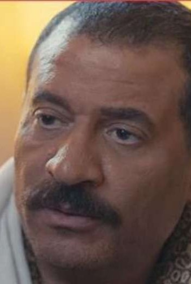 ماجد المصري 