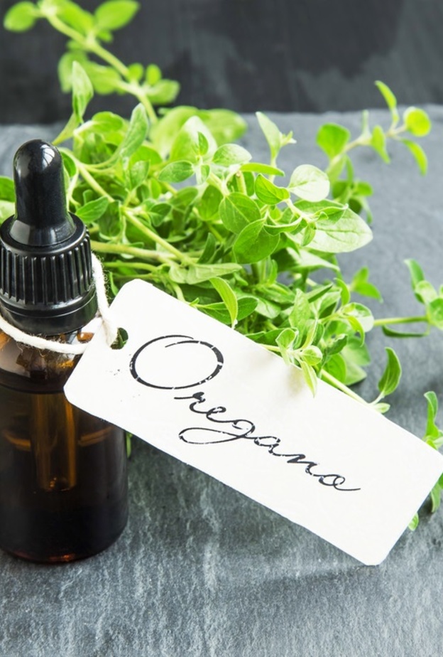 زيت الاوريغانو فعال في خفض الكوليسترول