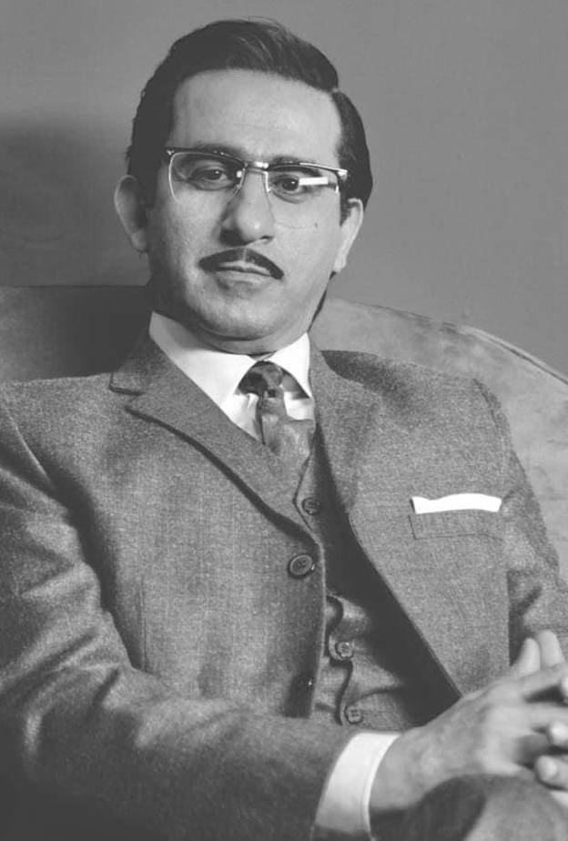 احمد حلمي